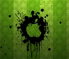 noahmercury's picture
