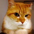 max548's picture