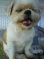 yi's picture
